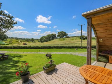 A garden with flowers on a wooden deck overlooking fields and trees at Pine Lodge in Llanddeusant near Llandovery