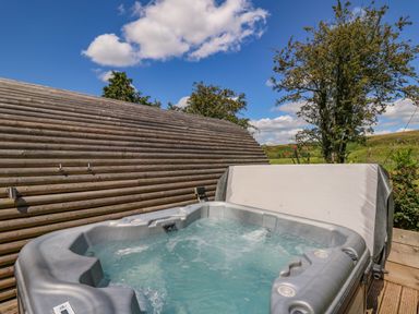 An outdoor hot tub with water jets next to a wooden curved wall and trees in a rural setting at Pine Lodge in Llanddeusant near Llandovery