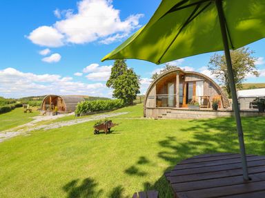 An outdoor area with two wooden cabins a picnic table with a green umbrella and a small wheelbarrow with plants at Pine Lodge in Llanddeusant near Llandovery