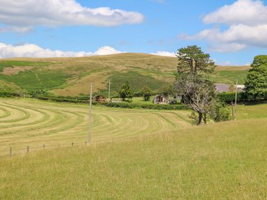 A rural field with curved mowing patterns a few trees and two small wooden cabins near a hill at Pine Lodge in Llanddeusant near Llandovery