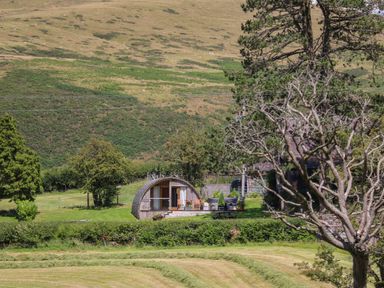 A small curved wooden cabin with outdoor chairs and table in a grassy area with hills and trees at Pine Lodge in Llanddeusant near Llandovery