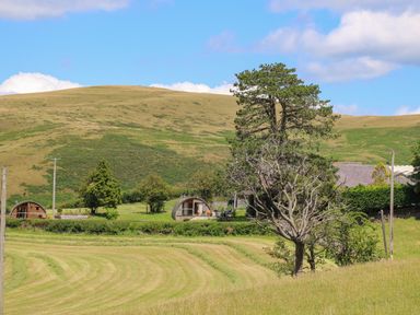 A grassy field with two wooden pods near trees and hills at Pine Lodge in Llanddeusant near Llandovery