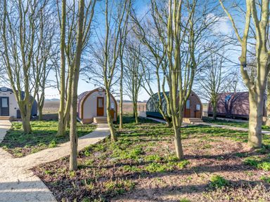 Small wooden pods among trees with gravel paths and open fields visible at Carlton Manor Pod 2 in Aldbrough