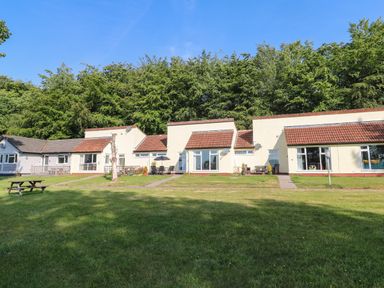 A row of single-story bungalows with brown tile roofs and patio furniture in front of a tree line at 39 Manorcombe Bungalows Honicombe Holiday Village near Drakewalls