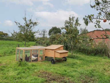 A wooden chicken coop with chickens inside on grass near fruit trees and a brick shed at Brimley Barn in Kittisford near Milverton