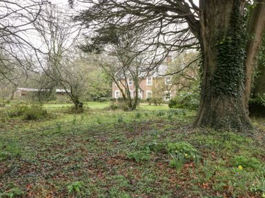 A garden with large trees and plants with a house in the background at Heathfield in Milverton