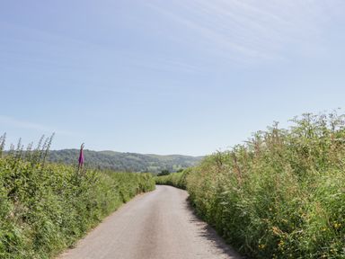 A country road bordered by tall grass and wildflowers under a clear sky with hills in the background at Heathfield in Milverton