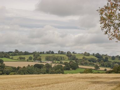 A countryside landscape with fields trees and a few buildings at Heathfield in Milverton