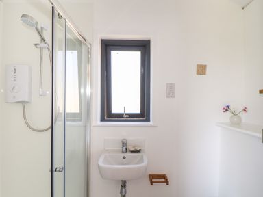 A bathroom with a shower, sink, small window, and flowers in a vase at Little Pip in Gulval
