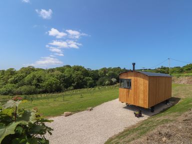 A wooden tiny house on wheels on a gravel path with trees and green fields in the background at Little Pip in Gulval