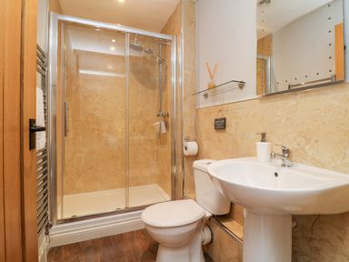 A bathroom with a glass shower enclosure toilet sink and mirror at The Old Cowshed Broadwoodwidger near Lifton