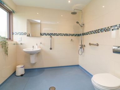 A bathroom with a sink mirror window plant shower and toilet at The Old Cowshed in Broadwoodwidger near Lifton