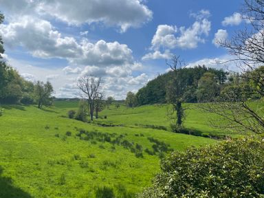 A green field with trees and a blue sky with clouds at Bunts Barn in Northlew near Hatherleigh