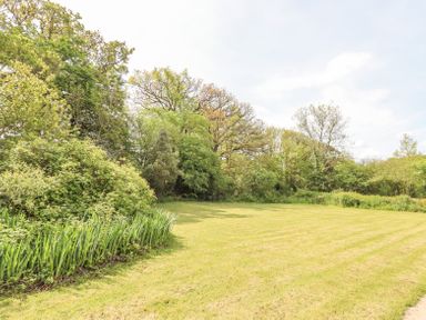 A grassy lawn area bordered by various bushes and trees at Bunts Barn in Northlew near Hatherleigh