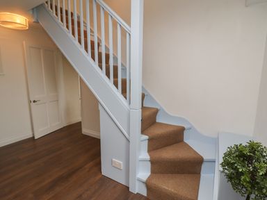 An entrance hallway with wooden stairs covered by brown carpet and a plant at Spernenwyn in St Ives