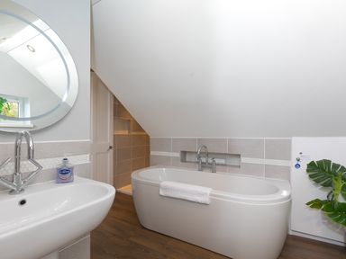 A bathroom with a freestanding bathtub a sink mirror and a plant at Spernenwyn in St Ives