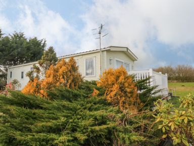 A mobile home with an antenna surrounded by green and orange shrubs at Park Lane in Llanteg near Kilgetty