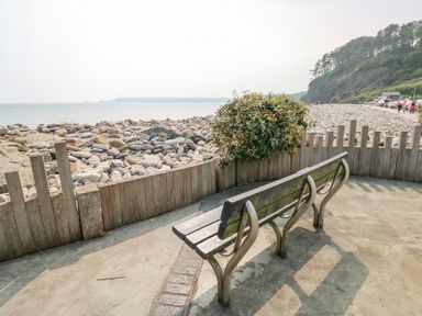 A bench facing a rocky beach with a wooden fence and bushes near a cliff with trees at Park Lane in Llanteg near Kilgetty