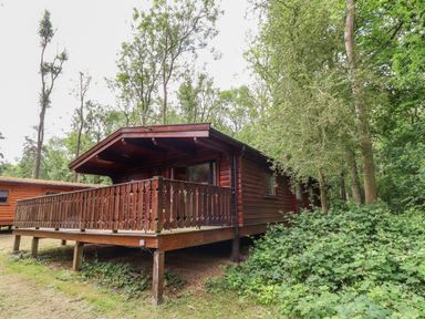 A wooden cabin with a porch in a forested area at The Great Escape in Kenwick near Louth