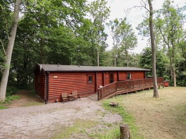 A wooden cabin with benches outside surrounded by trees at The Great Escape in Kenwick near Louth