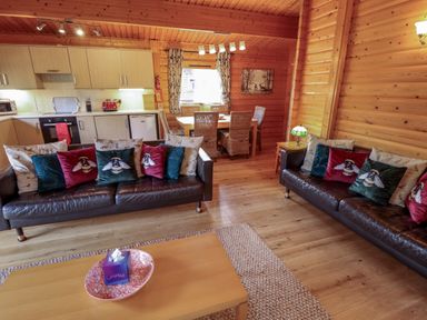A living room with two leather sofas and cushions in a wooden cabin with a kitchen and dining table at The Great Escape in Kenwick near Louth