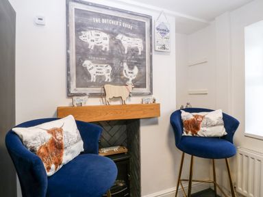 Two blue chairs with animal print cushions by a decorative fireplace with a butcher guide poster above at Pennant Cottage in Llithfaen