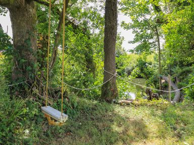 A tree swing hanging from a tree near a small river surrounded by green vegetation at Ty Cariad in Llangynin near St Clears