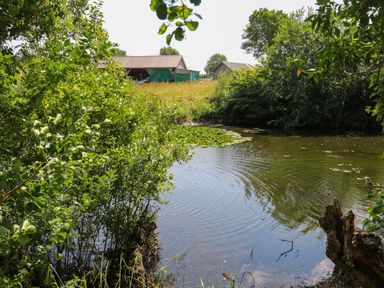 A pond surrounded by trees and bushes with farm buildings in the background at Ty Cariad in Llangynin near St Clears