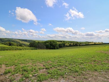 A green field with trees and rolling hills under a blue sky with clouds at Ty Cariad in Llangynin near St Clears