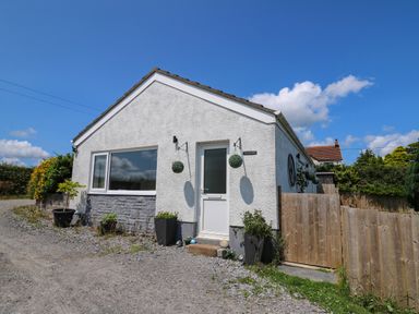 A small white house with green plants in pots and a wooden fence at Ty Cwtch in Llangynin near St Clears