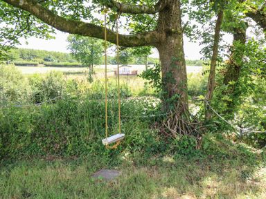 A tree with a rope swing hanging in a grassy area with shrubs and a small building in the background at Ty Cwtch in Llangynin near St Clears