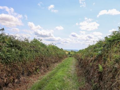 A grassy path between dense bushes leading to open fields under a partly cloudy sky at Ty Cwtch in Llangynin near St Clears