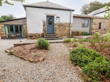 A stone and whitewashed building with a blue door and garden beds surrounded by gravel at Carines Barns - Wesley Barn in Cubert