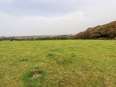 A grassy field with trees on the right and hills in the background at Carines Barns - Wesley Barn in Cubert