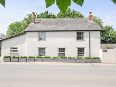 A white cottage with multiple windows and two chimneys with shrubs in wooden planters along the front at Cob Cottage near Rock