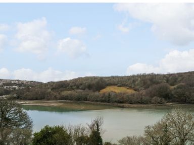 A river with surrounding trees and hills under a cloudy sky at Anjoma in Looe