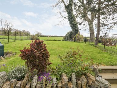 A garden with green grass shrubs flowers and stone steps at Gwalia Cottage in Brynsiencyn