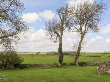 A yard with green grass and two leafless trees with a stone wall and fields beyond at Gwalia Cottage in Brynsiencyn