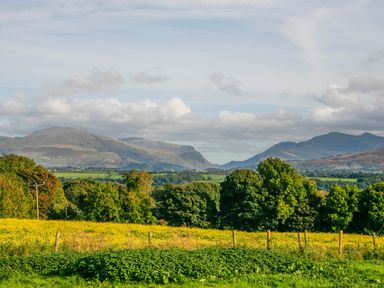A field with yellow flowers and green trees with mountains and clouds in the background at Gwalia Cottage in Brynsiencyn