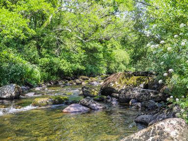 A river with rocks and green trees along the banks at Llwyn Onn in Criccieth