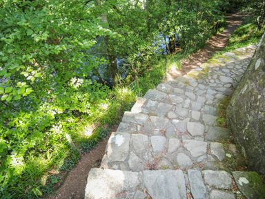 Stone steps leading down to a dirt path surrounded by green trees and bushes at Llwyn Onn in Criccieth