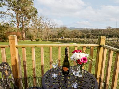 A balcony with a round metal table holding a bottle of prosecco two glasses and a vase of flowers overlooking a grassy garden with trees at Y Caban Glas in Rhydlewis near Brynhoffnant