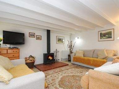 A living room with sofas a rug a wood burning stove and a television at Henwood Barn Henwood near Upton Cross