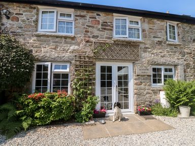 Stone house exterior with white windows and glass doors with dog sitting outside at Henwood Barn Henwood near Upton Cross