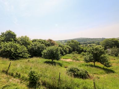 A grassy field with trees and hills in the background at Henwood Barn in Henwood near Upton Cross