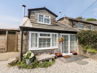 Stone cottage exterior with white window frames flower pots and a gravel pathway at Mole Cottage Henwood near Upton Cross