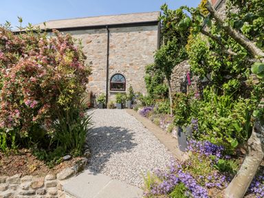 A garden path with gravel and flower beds next to a stone building at Mole Cottage in Henwood near Upton Cross