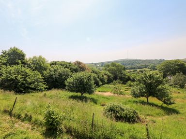 A rural landscape with trees and grassy fields at Mole Cottage in Henwood near Upton Cross