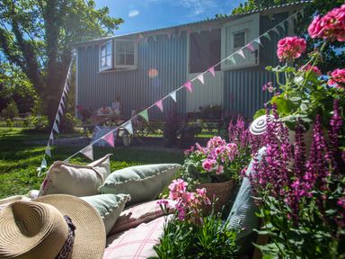 An outdoor scene with cushions and flowers in front of a small hut with bunting at Gwithian Shepherds Hut Angarrack near Hayle