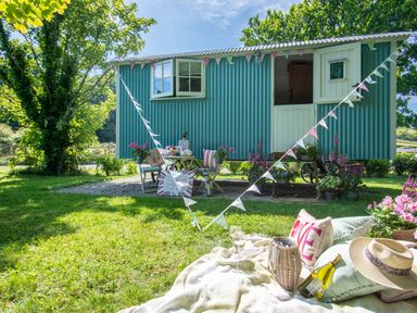 A blue shepherds hut with open windows and door surrounded by chairs tables flowers and bunting at Gwithian Shepherds Hut in Angarrack near Hayle
